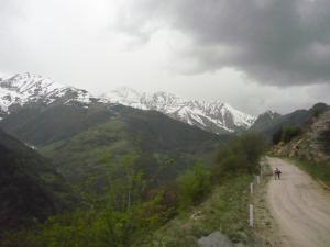 2-24.JPG