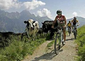 bike-tours-3.jpg