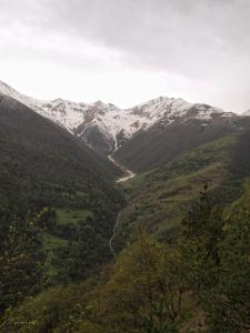 100517_123 copy.jpg