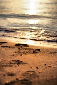 IMG_0858.jpg
