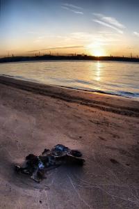IMG_0864.jpg