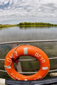 IMG_1182.jpg
