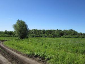 IMG_0442.JPG