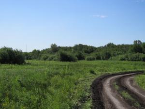 IMG_0444.jpg