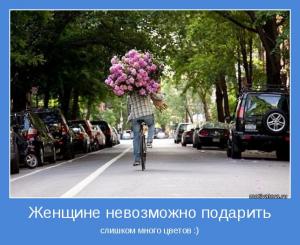 motivator-37299.jpg