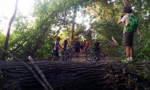 20130705_204142.jpg