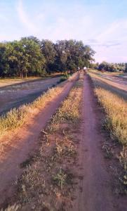 20130726_200459.jpg