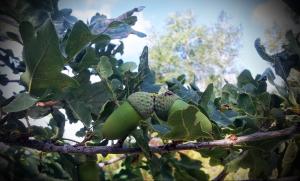 20130727_095448.jpg