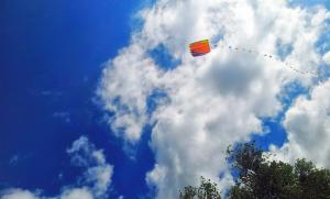 20130727_114358 (1).jpg