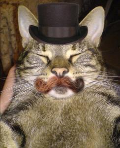 I_am_the_top_hat_cat__by_LtMcLean.jpg