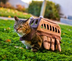 cosplay66497966.jpg