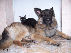 100_0290 копия.jpg