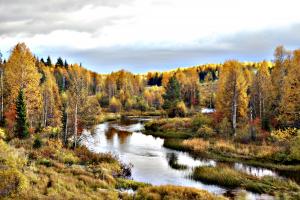 DSC_01280034.jpg