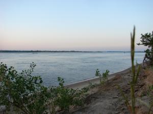 DSC08740.JPG