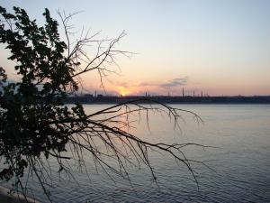 DSC08742.JPG