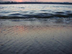 DSC08771.JPG