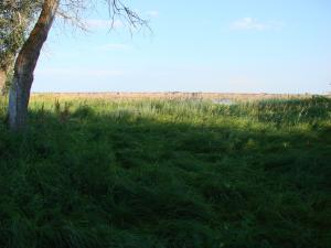 DSC08794.JPG
