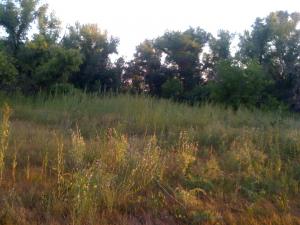 IMG_2441.JPG