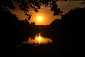 20130723_202222.jpg