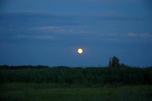 20130723_210948.jpg