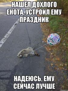Праздник для Енота.jpg