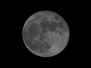 P1090634-(копия).jpg