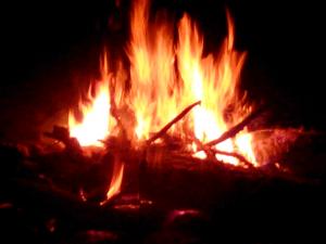 IMG_20140711_230845.jpg