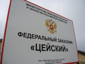 Pic30.jpg
