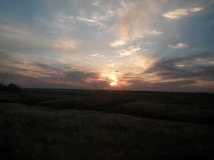 IMG_20140715_204339.jpg
