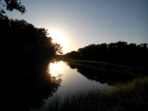IMG_20140701_201522.jpg