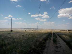IMG_20140712_125527.jpg