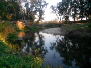IMG_20140712_201834.jpg