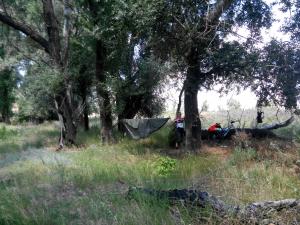 IMG_20140712_134903.jpg