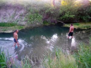 IMG_20140712_201443.jpg