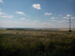 IMG_20140712_125520.jpg