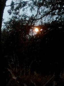 IMG_20140712_212712.jpg