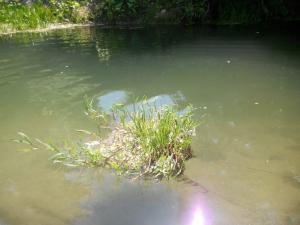 IMG_20140712_150644.jpg