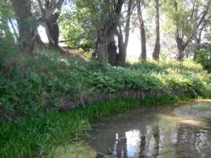 IMG_20140712_154004.jpg
