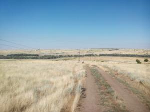 IMG_20140713_084945.jpg