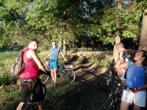 IMG_20140701_201536.jpg