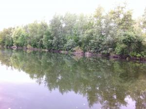IMG_1194.JPG