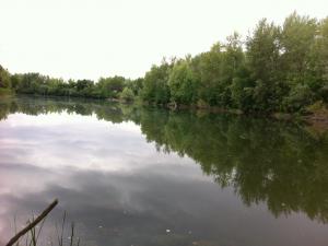 IMG_1193.JPG