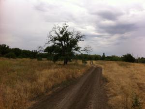 IMG_1183.JPG