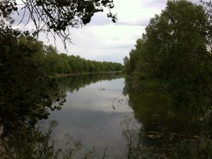 IMG_1186.JPG