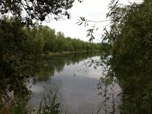IMG_1185.JPG