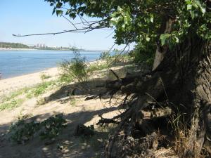 IMG_2396.JPG