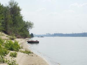P1010017.JPG