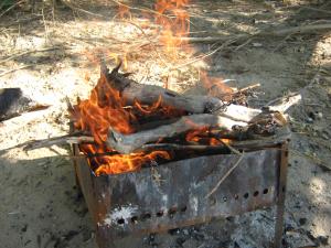 IMG_2519.JPG