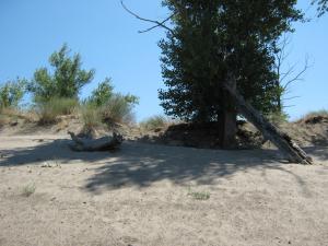 IMG_2427.JPG