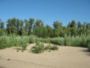 IMG_2513.JPG